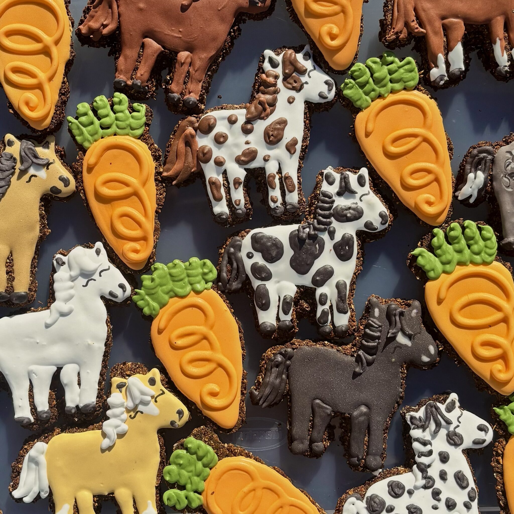 Your horse in treat form!!!