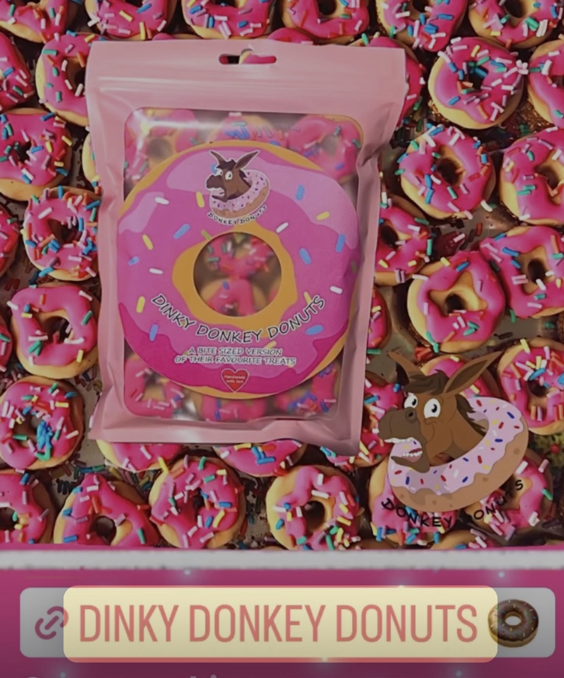 Dinky Donkey Donuts 🍩