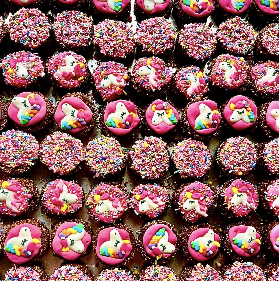🦄 unicorn Dinky Donkey Donuts 🌈